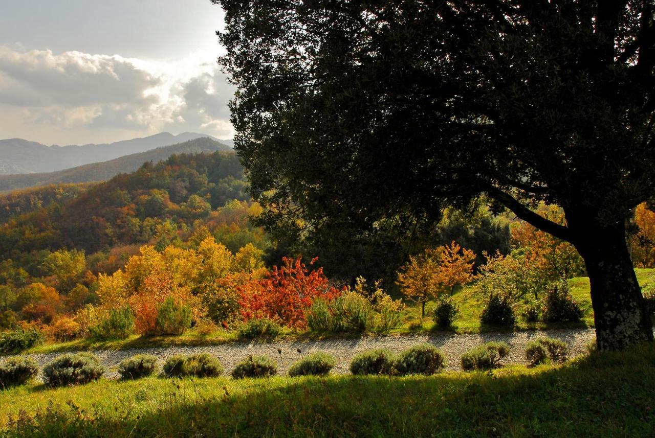 Agriturismo Giandriale Tavarone Εξωτερικό φωτογραφία