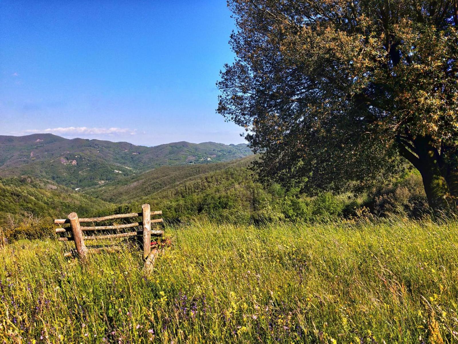 Agriturismo Giandriale Tavarone Εξωτερικό φωτογραφία